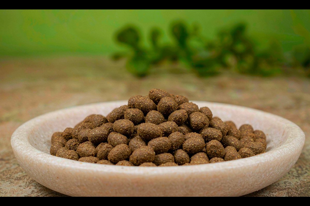 Baja tumbuhan: tablet di akar dan apa yang saya tidak buat